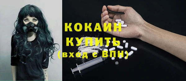 кокс Вяземский