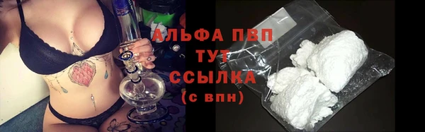 spice Вязьма