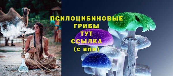 кокс Вяземский